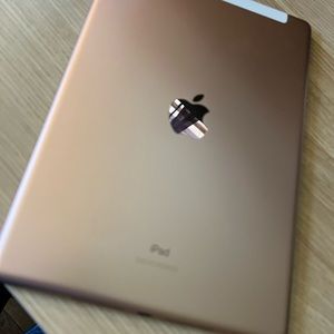 7th Gen iPad. 32GB-Rose Gold Wi-Fi+cellular. Sprint/T-Mobile